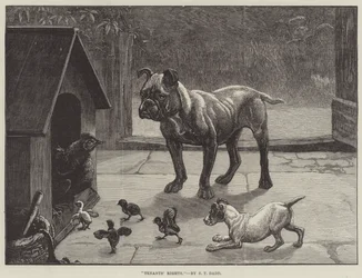 テナントの権利